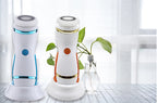 Two electronic devices on a white surface with a plant in the background