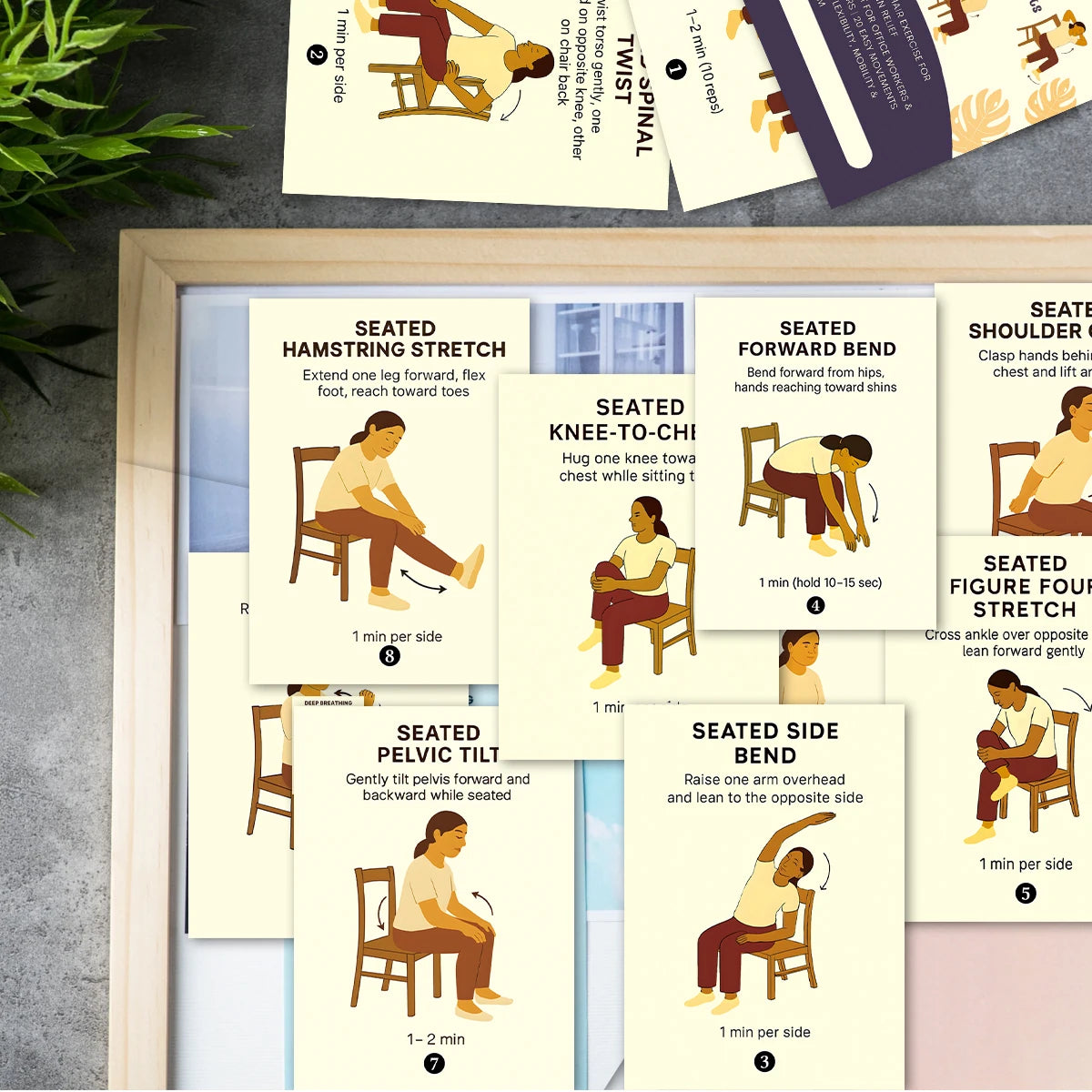 21pcs Seated Yoga Cards,Easy Chair Movements Poses Illustrated Step-By-Step Guide,Fitness Equipment Cards For Yoga Instructors