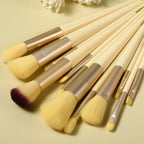 13Pcs Makeup Brush Set – Eyeshadow, Foundation & Blush Cosmetic Brushes with Travel Bag