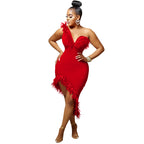 Woman wearing a red one-shoulder dress with feather details on a white background