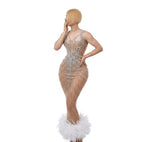 Rhinestone Feather Dress Banquet Women's Clothing