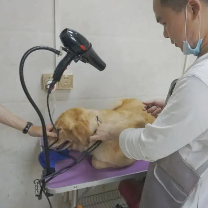 Telescopic Pet Hair Dryer Bracket and Flexible Grooming Stand