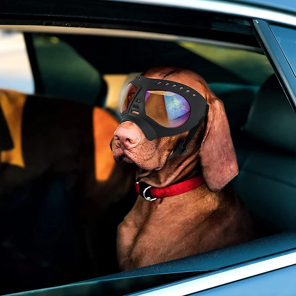UV Protection Windproof Dog Goggles Pet Eye Wear for Swimming and Skating
