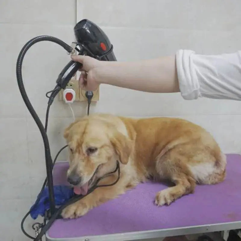 Telescopic Pet Hair Dryer Bracket and Flexible Grooming Stand