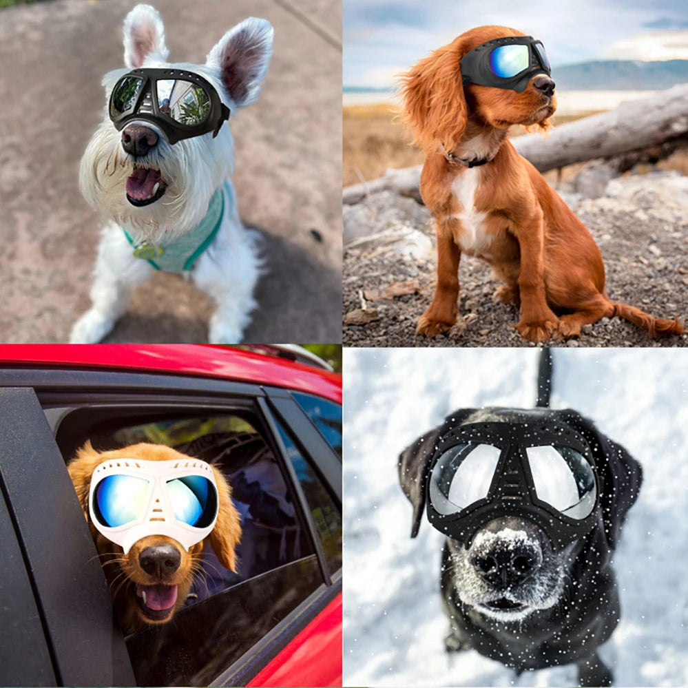 UV Protection Windproof Dog Goggles Pet Eye Wear for Swimming and Skating