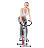 Premium Home Office Spinning Bike for Serious Cyclists Compact Stationary Fitness Equipment