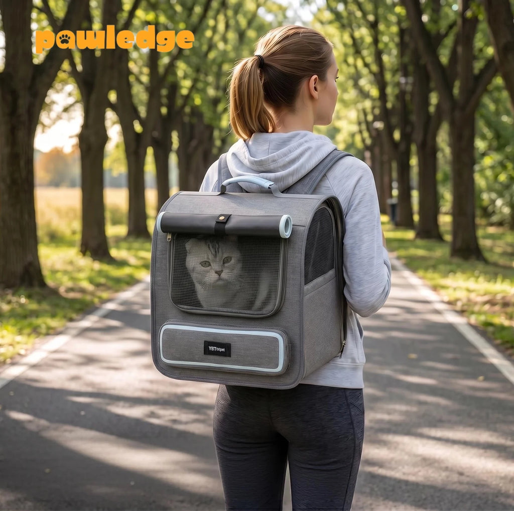 Foldable Pet Carrier Backpack Breathable Travel Bag for Cats and Small Dogs