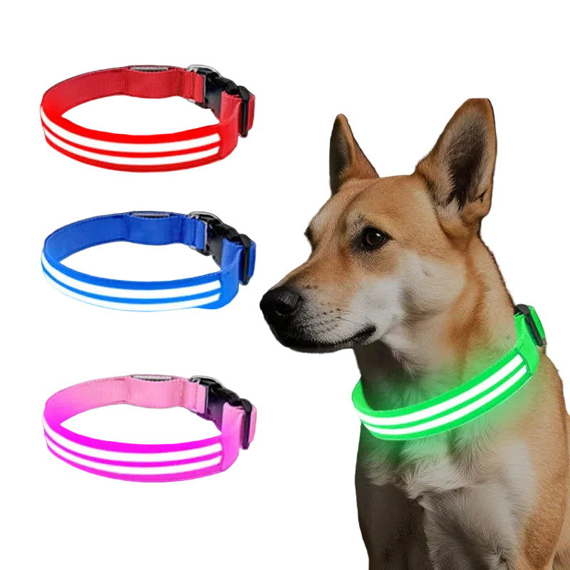 Rechargeable LED Dog Collar with Harness Connector and Leash Ring for Night Walks