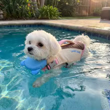 Dog Life Jacket Adjustable Waterproof Pet Safety Vest