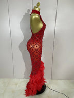 Women's Sparkly Rhinestones Feather Mesh See Through Long Dress