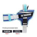 Adjustable Nylon Dog Harness with Neck Guard and Reflective Breathable Mesh Vest
