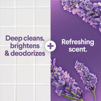 Liquid Laundry Bleach and Lavender Jasmine Deodorizer