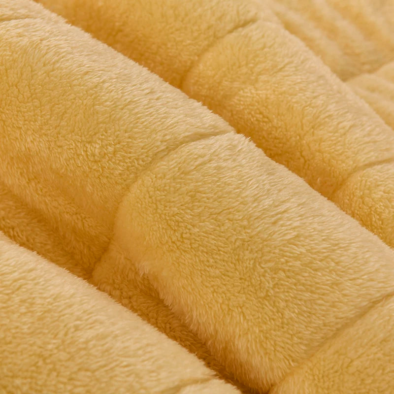 Thick Warm Milk Velvet Blanket and Soft Winter Plush Throw