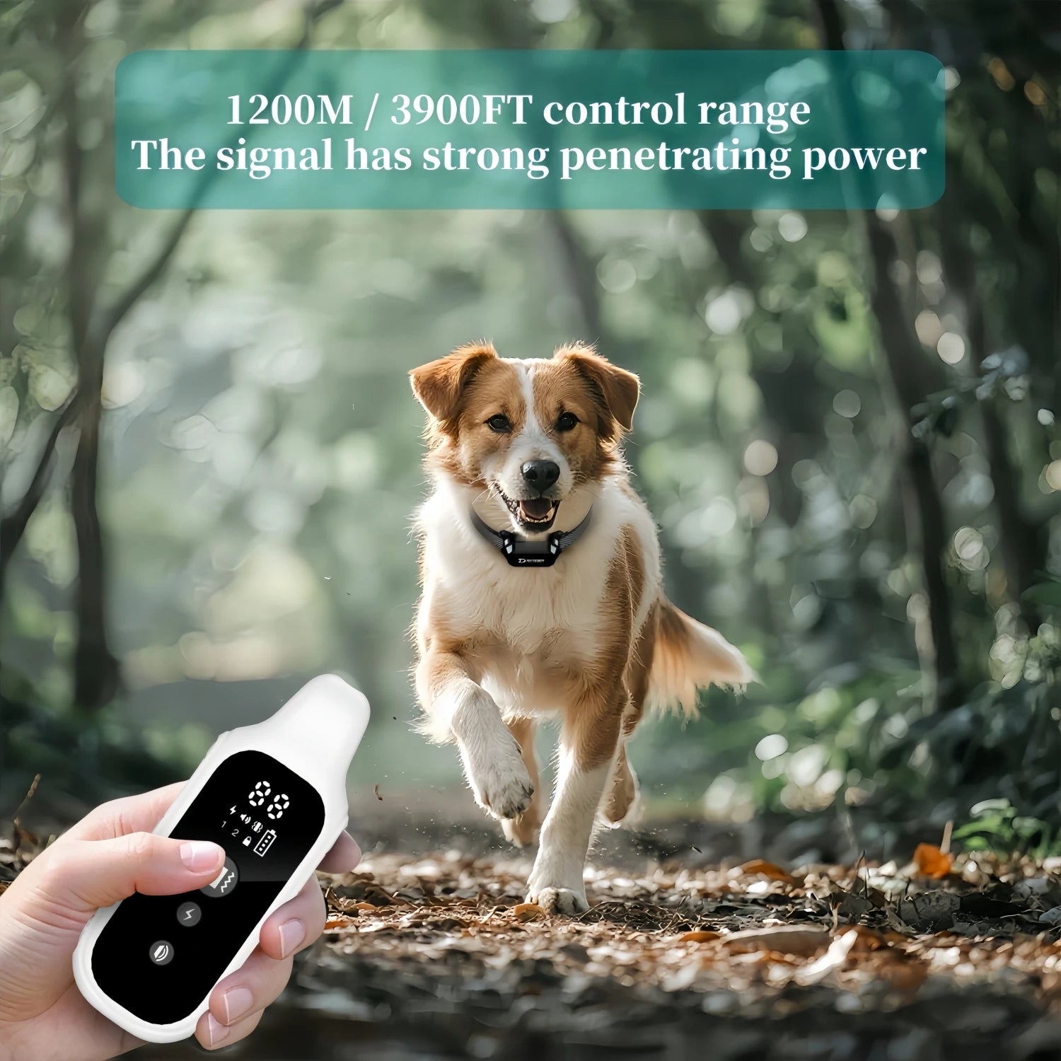 800m Range Dog Training Collar Waterproof Rechargeable Remote Control with LCD Display