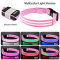 Rechargeable LED Dog Collar with Harness Connector and Leash Ring for Night Walks