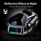 Adjustable Nylon Dog Harness with Neck Guard and Reflective Breathable Mesh Vest