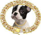 Luxury Gold Stainless Steel Dog Chain Collar with Jeweled Accents