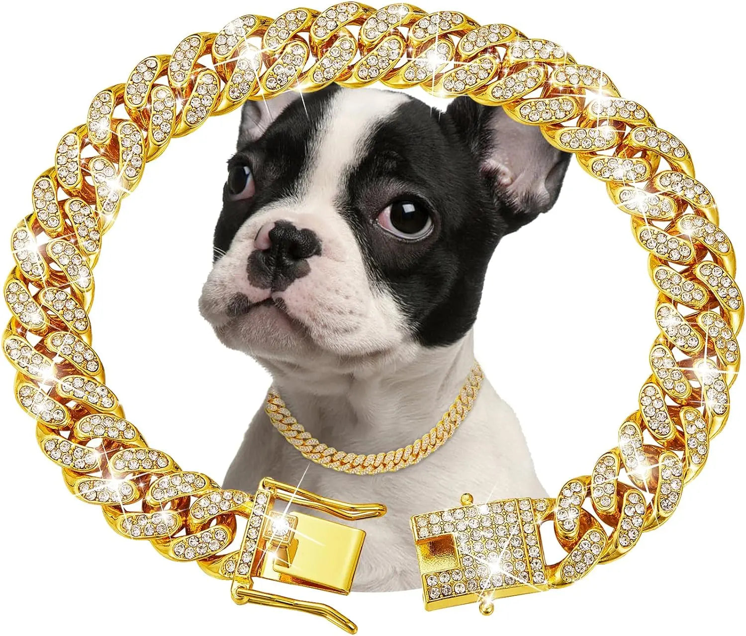 Luxury Gold Stainless Steel Dog Chain Collar with Jeweled Accents