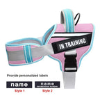 Adjustable Nylon Dog Harness with Neck Guard and Reflective Breathable Mesh Vest