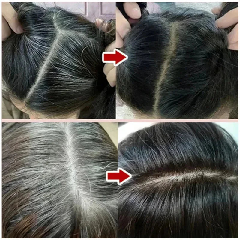 3-in-1 Herbal Hair Color Shampoo for Gray Hair Care 20240226
