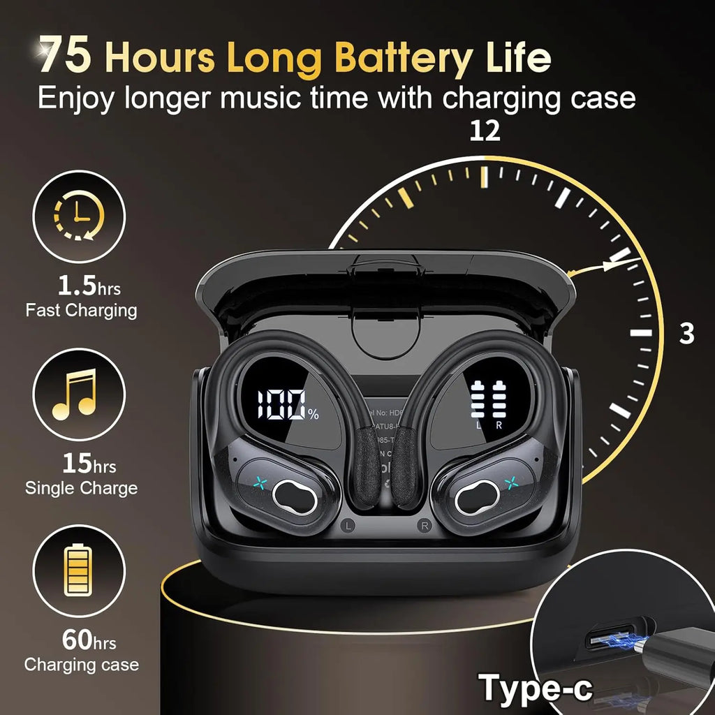 TWS Wireless Bluetooth 5.4 In Ear Earbuds LED Display HD65