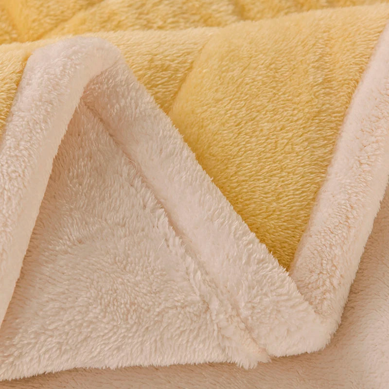 Thick Warm Milk Velvet Blanket and Soft Winter Plush Throw