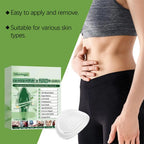 Moringa Berberine NAD+ Nano Microneedle Patch Metabolic Support