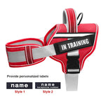 Adjustable Nylon Dog Harness with Neck Guard and Reflective Breathable Mesh Vest