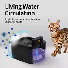 Wireless Cat Water Fountain with Sensor and Battery Power