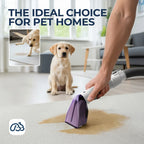 Portable Carpet and Upholstery Cleaner with Large Water Tank