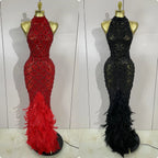 Women's Sparkly Rhinestones Feather Mesh See Through Long Dress