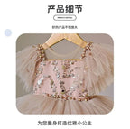 Girls' Sequined Fluffy Mesh Bow Princess Dress