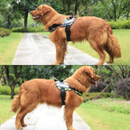 Adjustable Nylon Dog Harness with Neck Guard and Reflective Breathable Mesh Vest