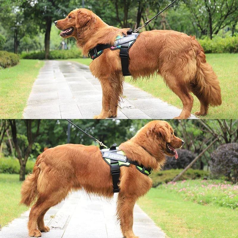 Adjustable Nylon Dog Harness with Neck Guard and Reflective Breathable Mesh Vest