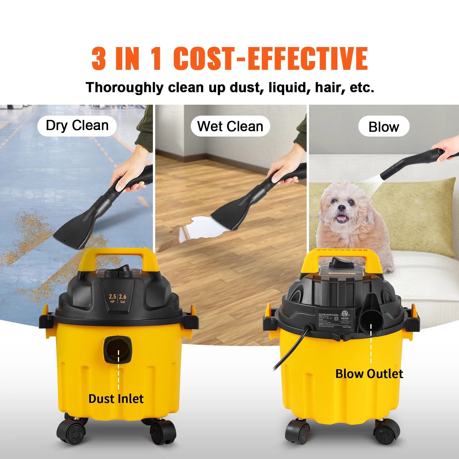 Portable Wet and Dry Shop Vacuum Cleaner with Blower Function 800W VV-GSXCQ-10L