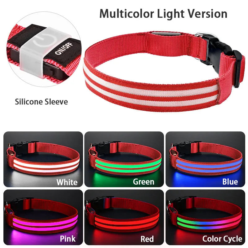 Rechargeable LED Dog Collar with Harness Connector and Leash Ring for Night Walks