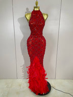 Women's Sparkly Rhinestones Feather Mesh See Through Long Dress