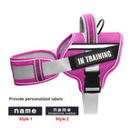 Adjustable Nylon Dog Harness with Neck Guard and Reflective Breathable Mesh Vest