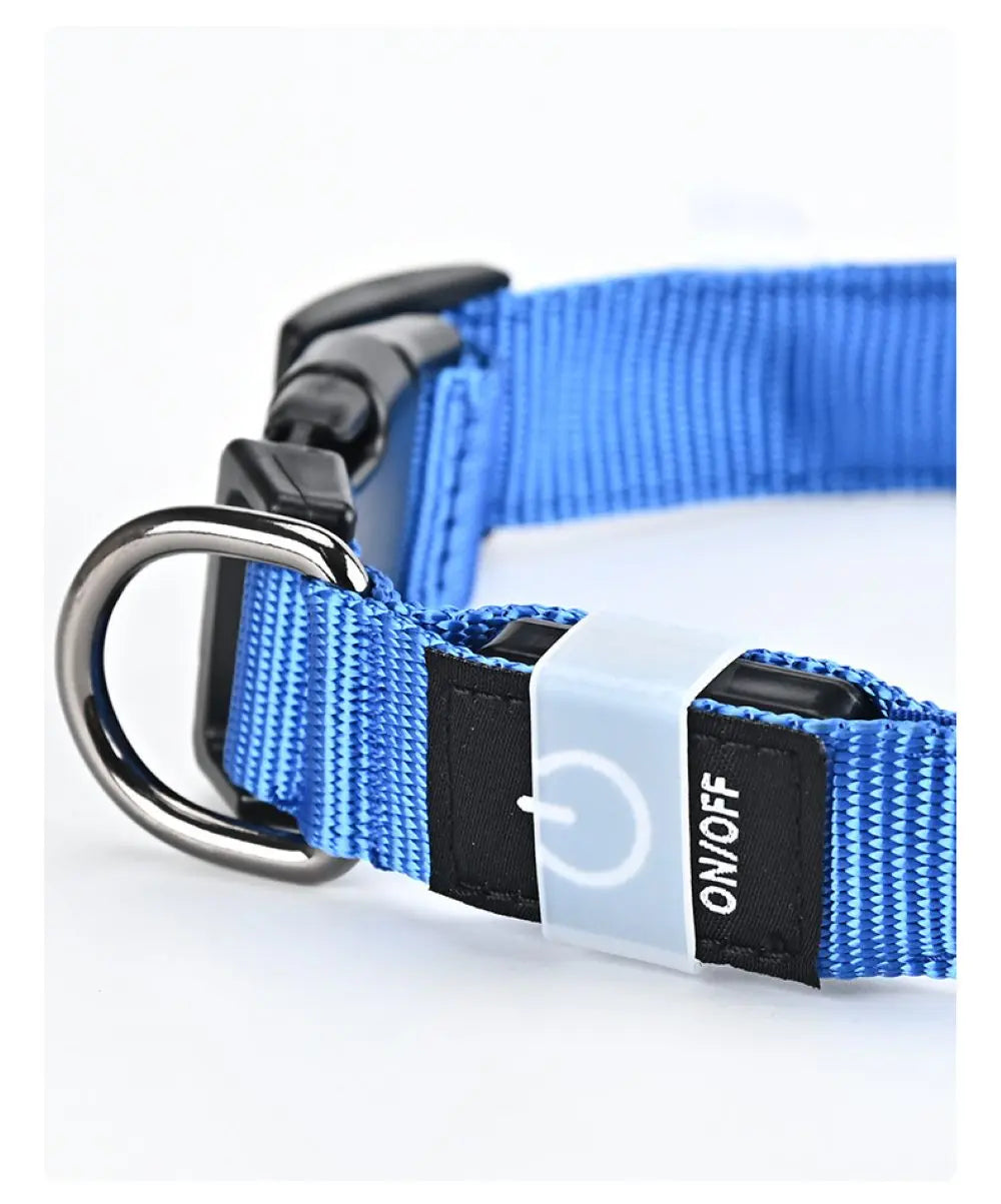 Rechargeable LED Dog Collar with Harness Connector and Leash Ring for Night Walks