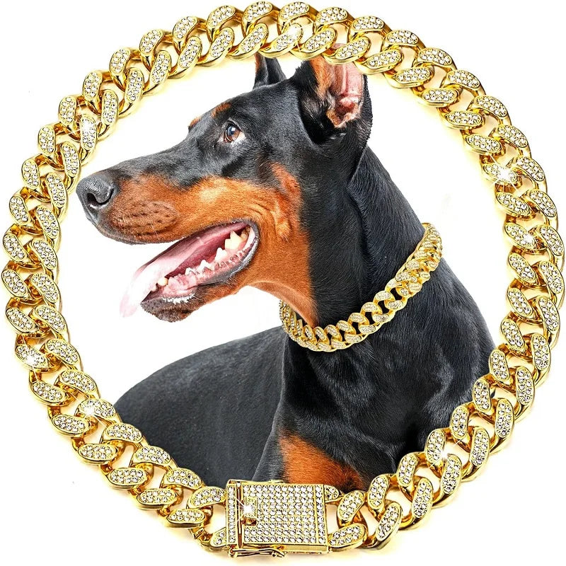 Luxury Gold Stainless Steel Dog Chain Collar with Jeweled Accents