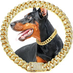 Luxury Gold Stainless Steel Dog Chain Collar with Jeweled Accents