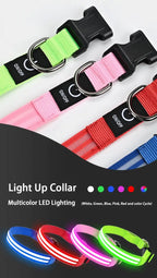 Rechargeable LED Dog Collar with Harness Connector and Leash Ring for Night Walks