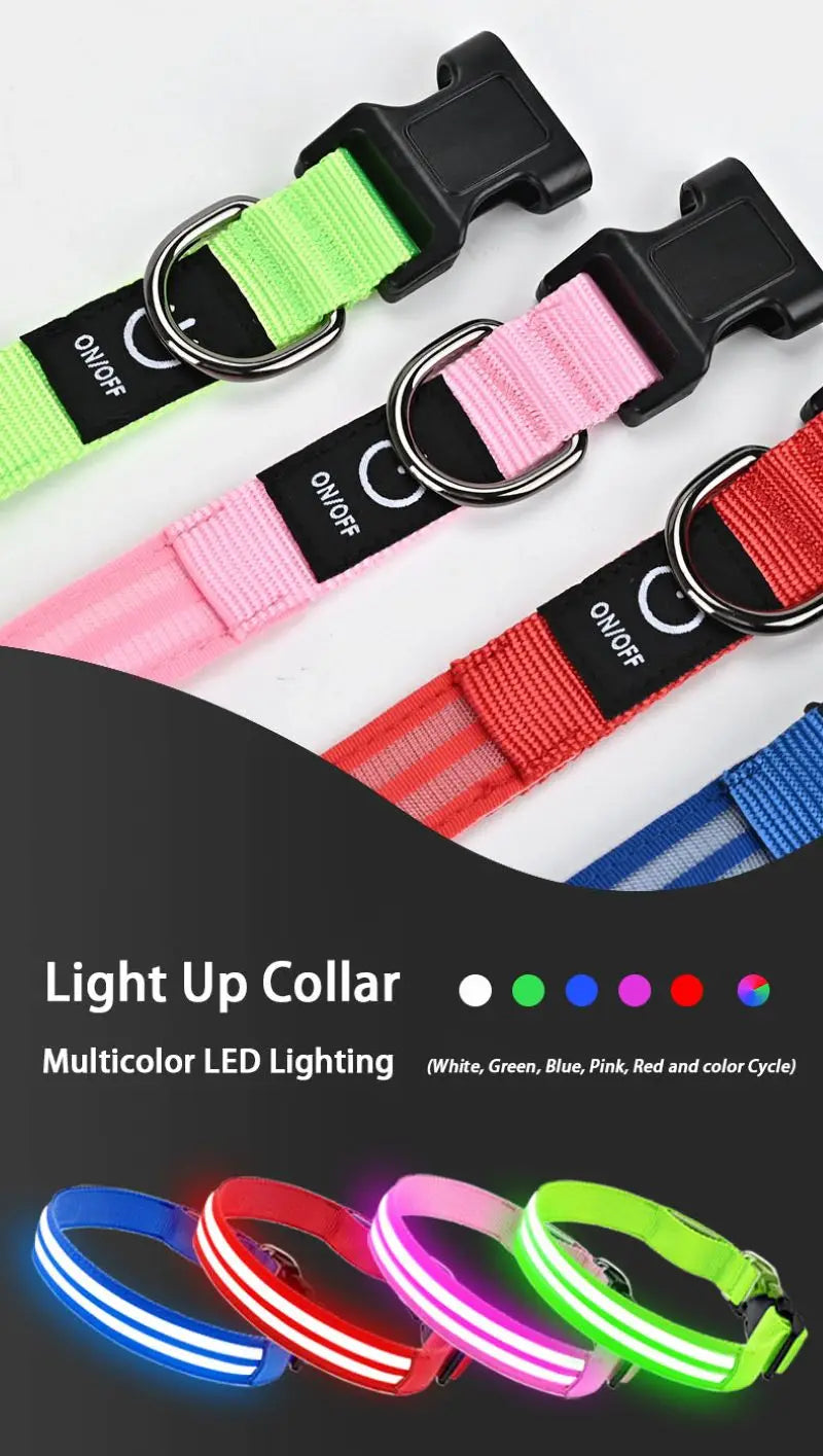 Rechargeable LED Dog Collar with Harness Connector and Leash Ring for Night Walks