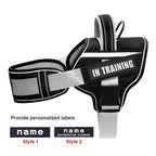 Adjustable Nylon Dog Harness with Neck Guard and Reflective Breathable Mesh Vest