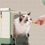 Portable Breathable Universal Wheel Pet Trolley Bag