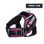Adjustable Nylon Dog Harness with Neck Guard and Reflective Breathable Mesh Vest