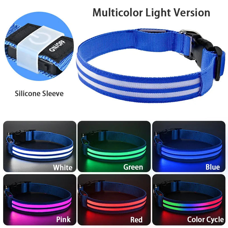 Rechargeable LED Dog Collar with Harness Connector and Leash Ring for Night Walks