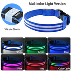 Rechargeable LED Dog Collar with Harness Connector and Leash Ring for Night Walks
