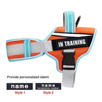 Adjustable Nylon Dog Harness with Neck Guard and Reflective Breathable Mesh Vest