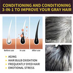 3-in-1 Herbal Hair Color Shampoo for Gray Hair Care 20240226